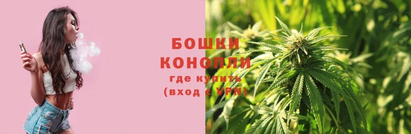 стаф Белокуриха