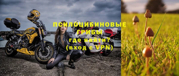ALPHA PVP Беломорск