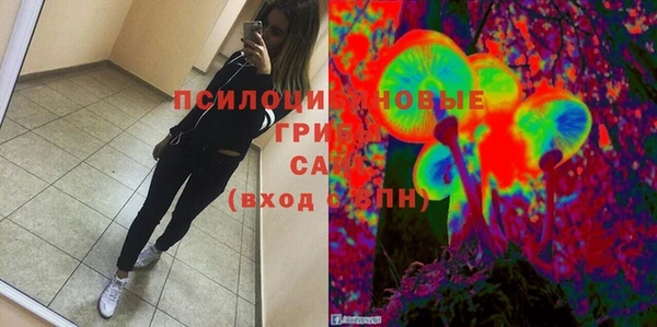 стаф Белокуриха