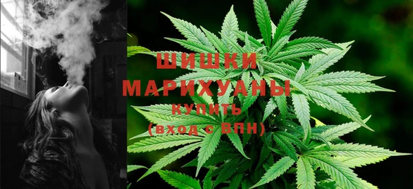стаф Белокуриха
