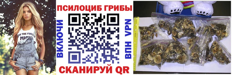 Купить  Апшеронск  Псилоцибиновые грибы Cubensis 